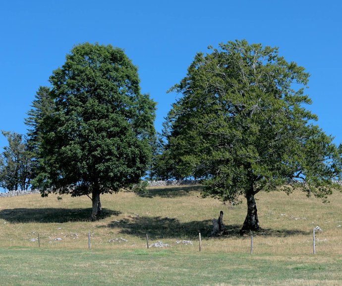 intervention reparateur electromenager