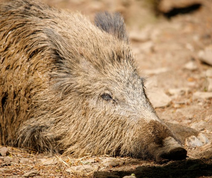 intervention reparateur electromenager