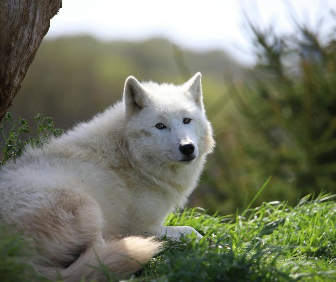 intervention reparateur electromenager