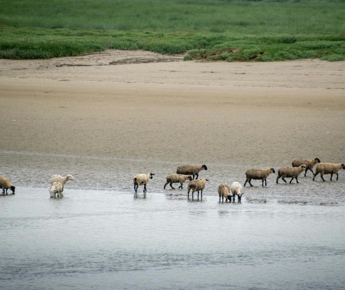 intervention reparateur electromenager