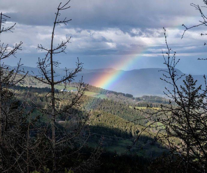 intervention reparateur electromenager